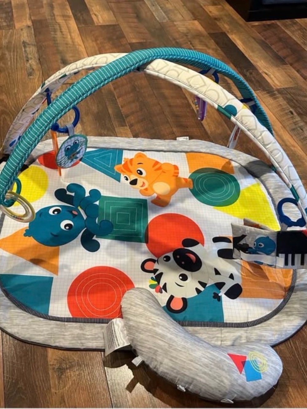 Little Einstein’s Kids Play Gym with Blue, Orange & Yellow Animal Mat